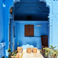 Цифровая логистика (заочно)  